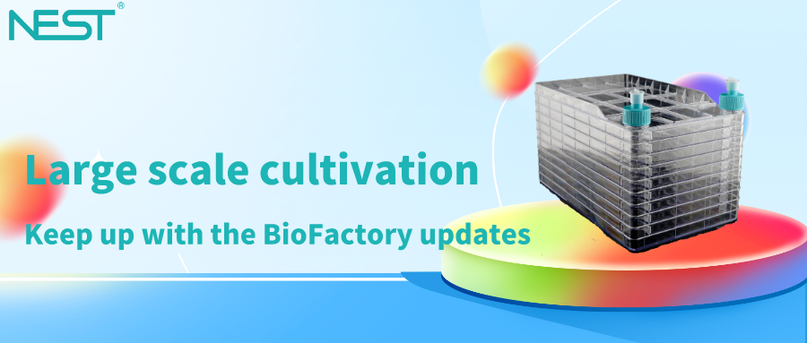 What you need to know about large scale cultivation(Issue 1)—keep up with BioFactory updates