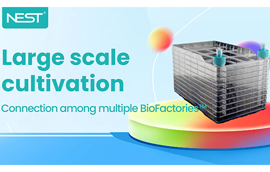 What you need to know about large scale cultivation (Issue 4) —Tutorial on Operating BioFactories in Series